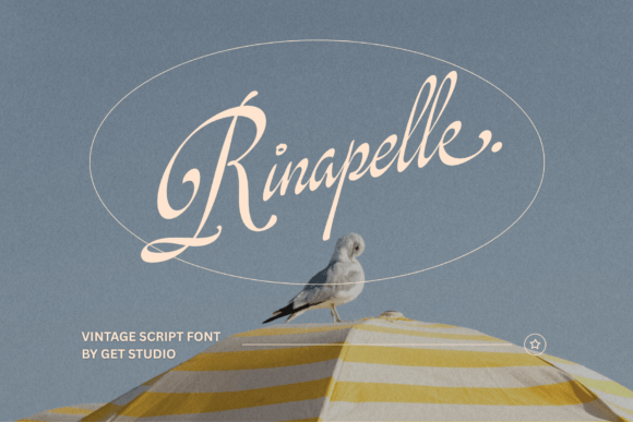Rinapelle Script: A Vintage Charm for Modern Designers